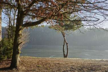 191211  (119) SONY .jpg